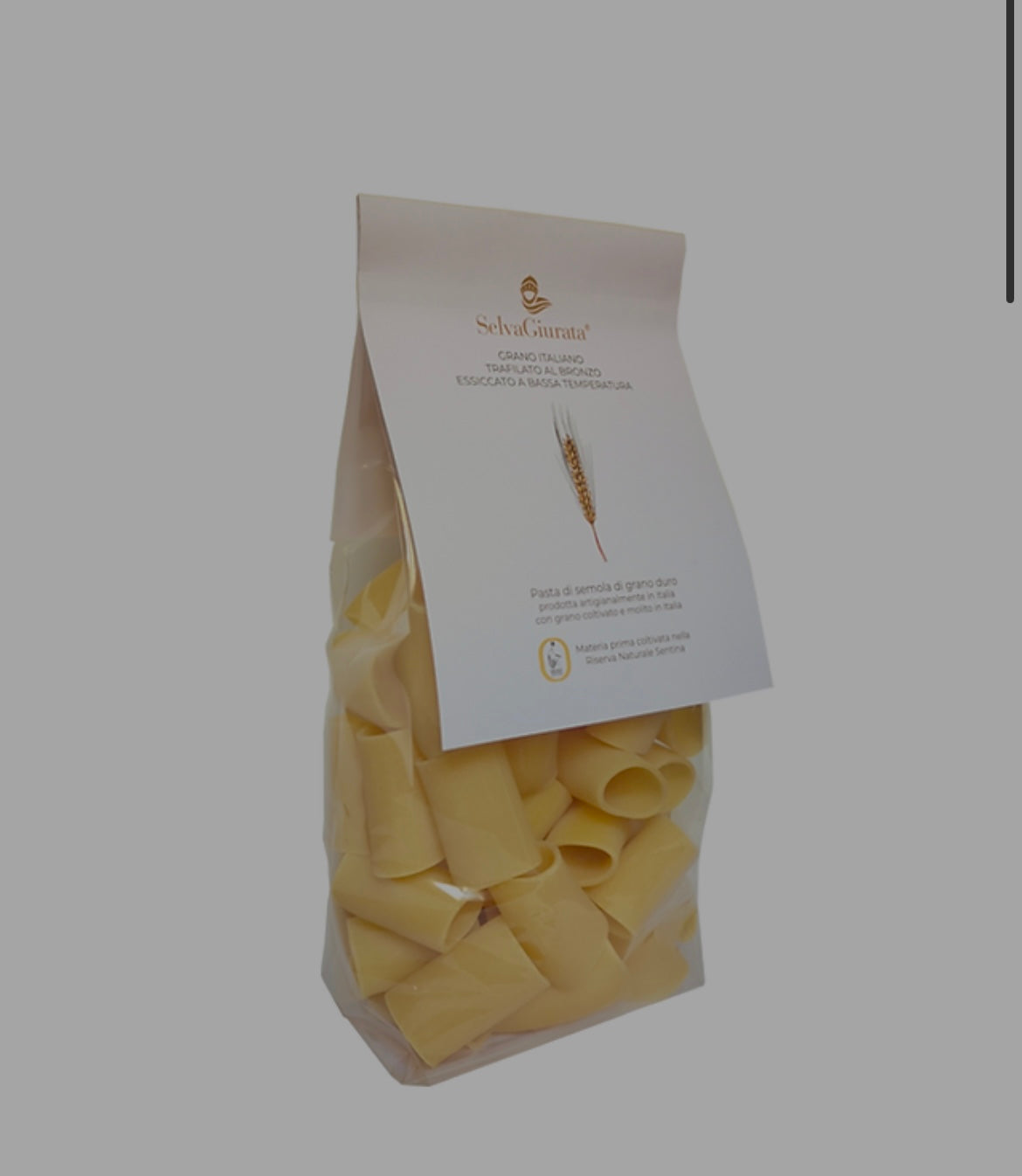 Paccheri Pasta | Italian Bronze-Cut Durum Wheat Pasta